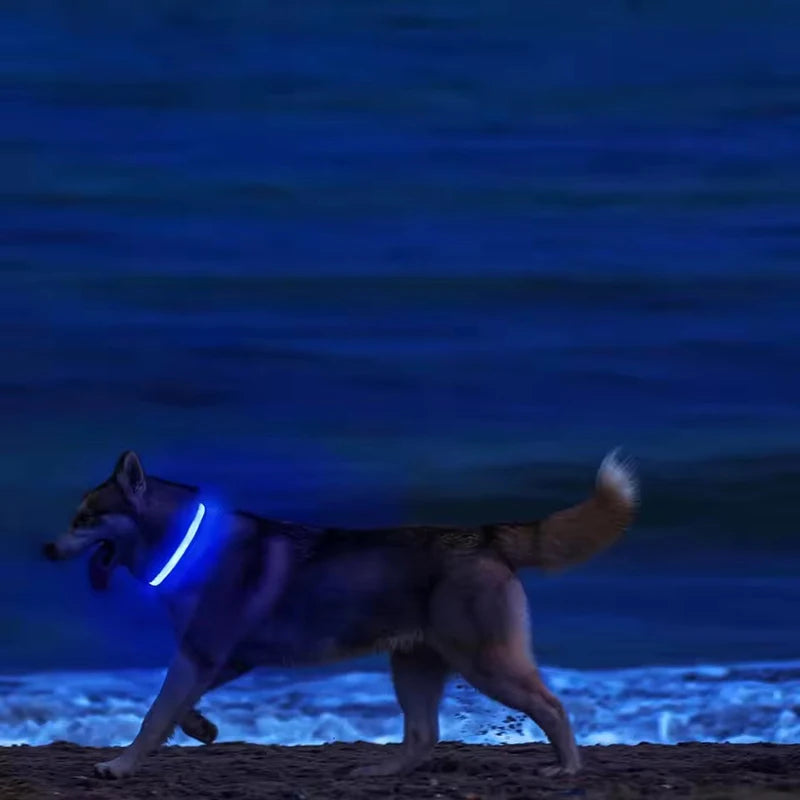 LED Glow-in-the-Dark Dog Collar 💡🐶 Night Safety Flash Collar (Battery Version)