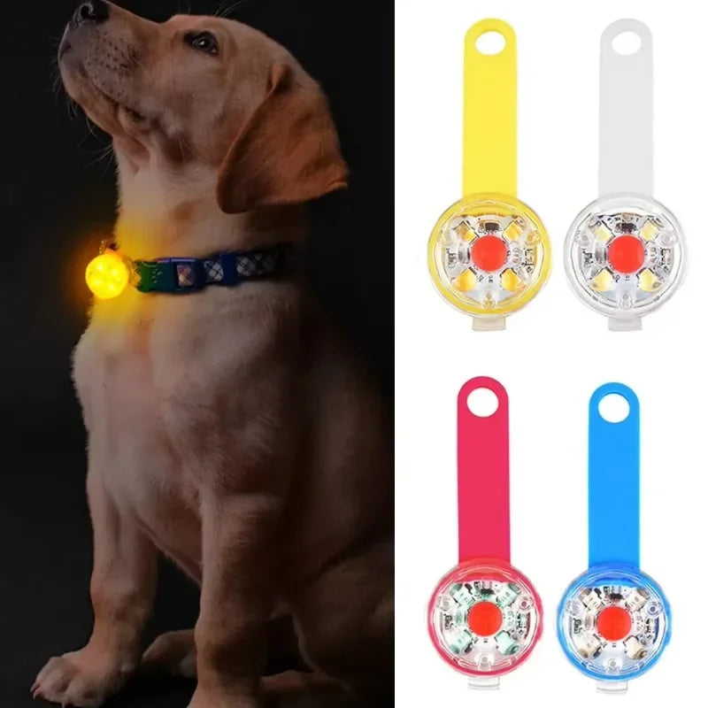 USB Rechargeable LED Safety Collar 💡🐶 Weatherproof Anti-Loss Pet Light