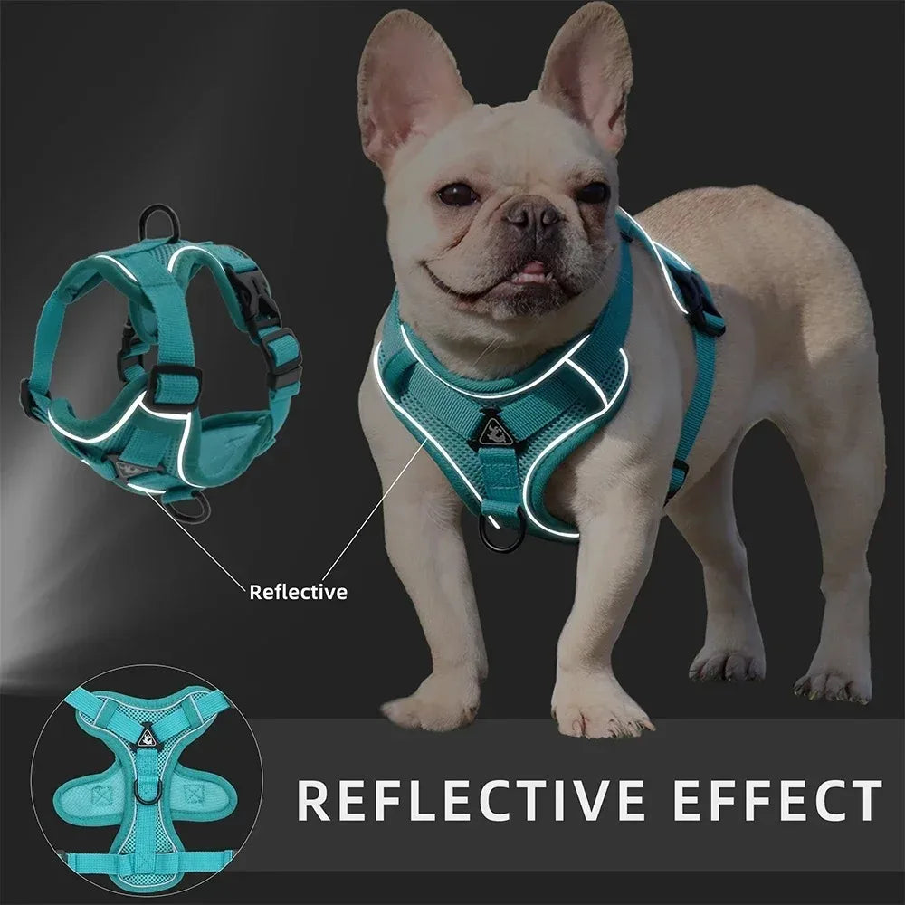 No-Pull Dog Harness & Leash Set 🐶✨ Adjustable Reflective Walking Vest