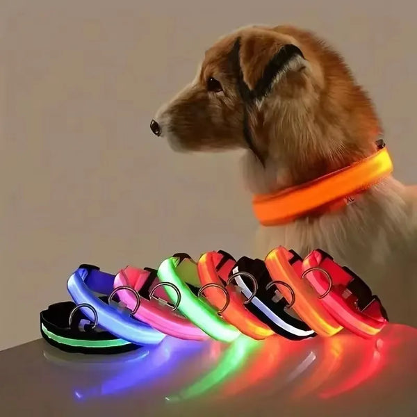 LED Glow-in-the-Dark Dog Collar 💡🐶 Night Safety Flash Collar (Battery Version)