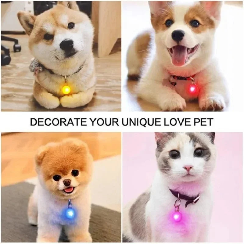 LED Light-Up Pet Pendant 💡🐶 Night-Safety Anti-Loss Collar Tag