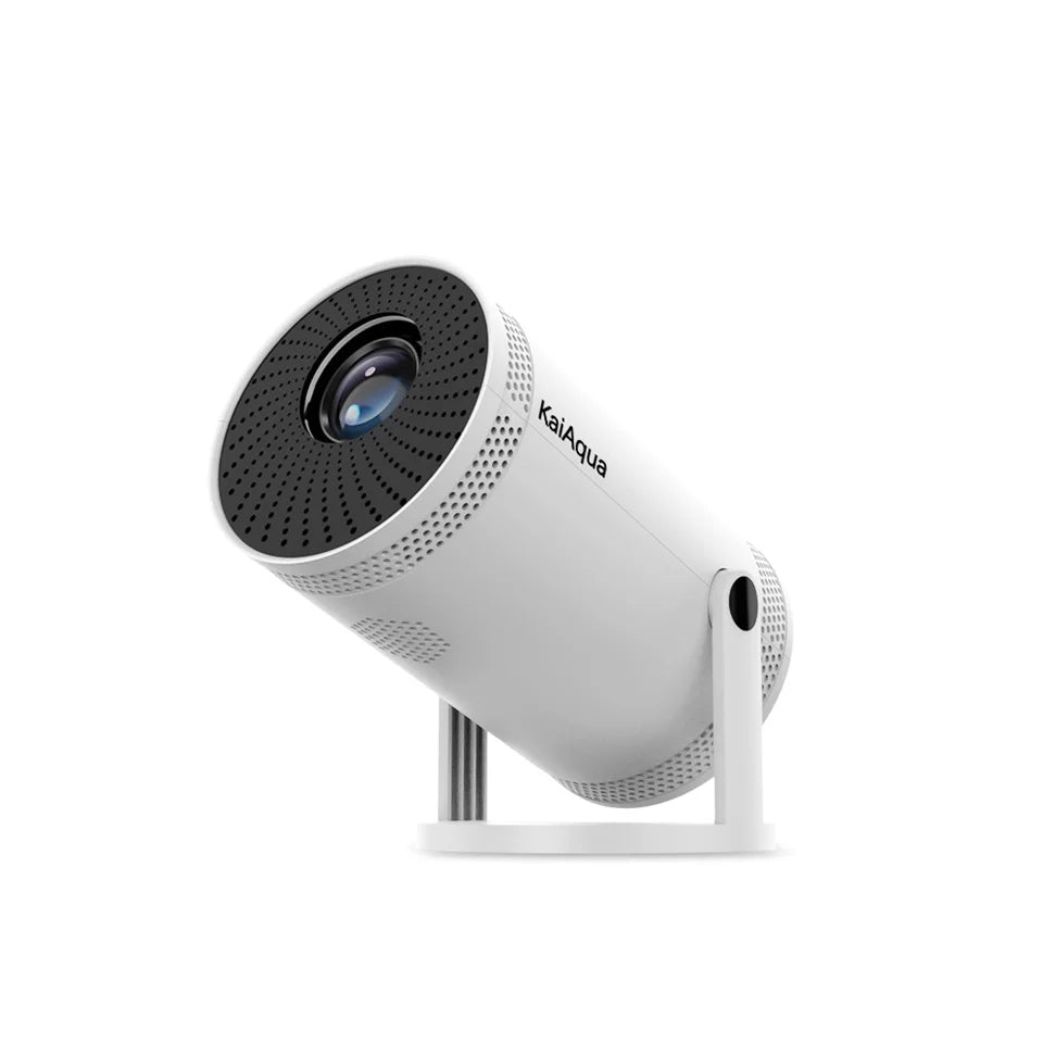 portable projector