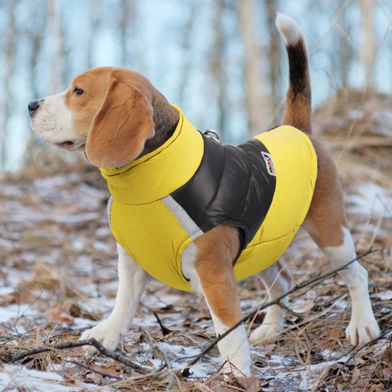 Waterproof Winter Dog Jacket ❄️🐶 Warm Padded Zipper Vest