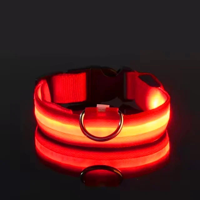 LED Glow-in-the-Dark Dog Collar 💡🐶 Night Safety Flash Collar (Battery Version)
