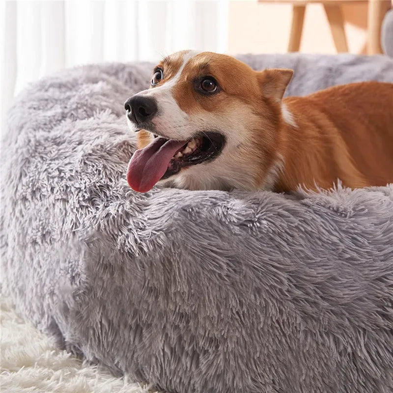 Round Plush Dog Bed 🐶✨ Ultra-Soft Warm Sleeping Nest