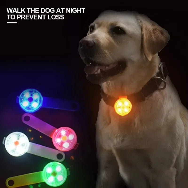 USB Rechargeable LED Safety Collar 💡🐶 Weatherproof Anti-Loss Pet Light