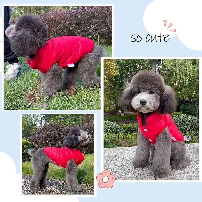 Double-Sided Winter Dog Coat 🐶❄️ Soft Warm Cotton Vest for Small & Medium Dogs
