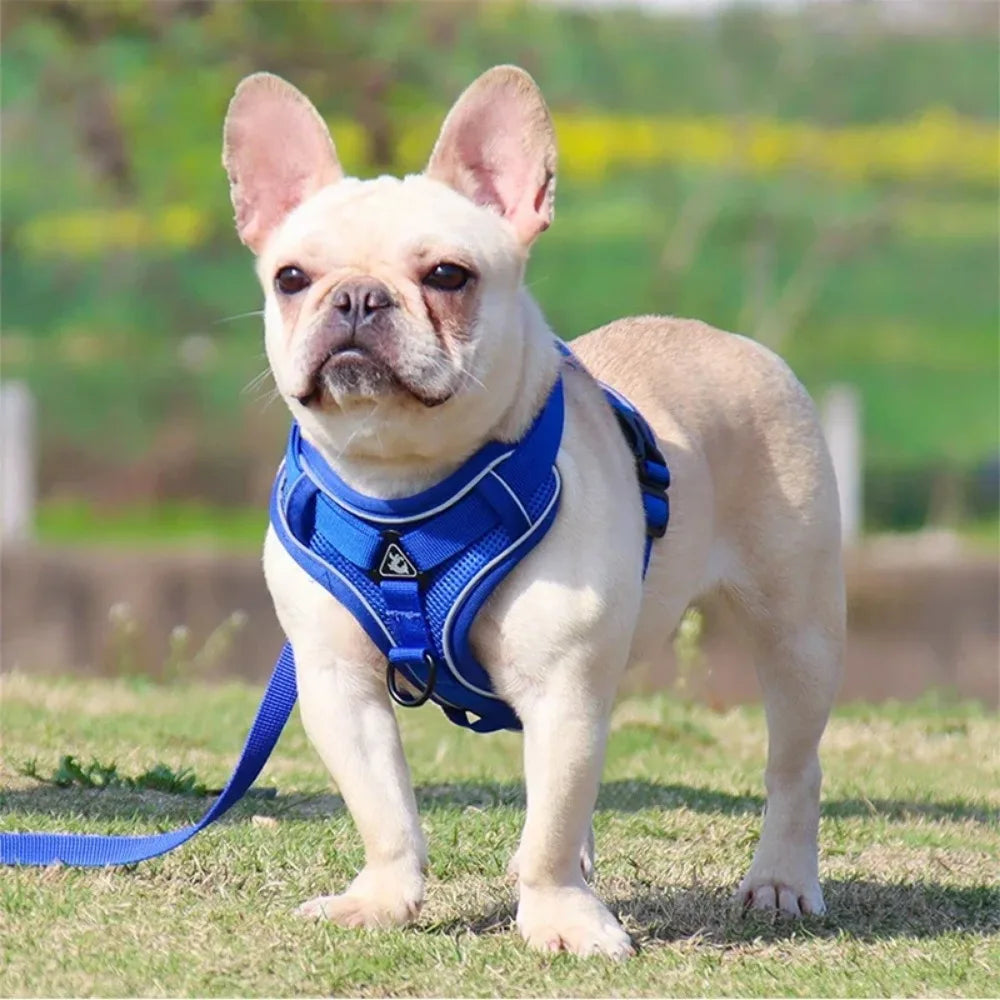 No-Pull Dog Harness & Leash Set 🐶✨ Adjustable Reflective Walking Vest
