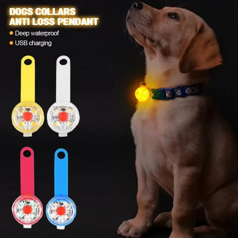 USB Rechargeable LED Safety Collar 💡🐶 Weatherproof Anti-Loss Pet Light