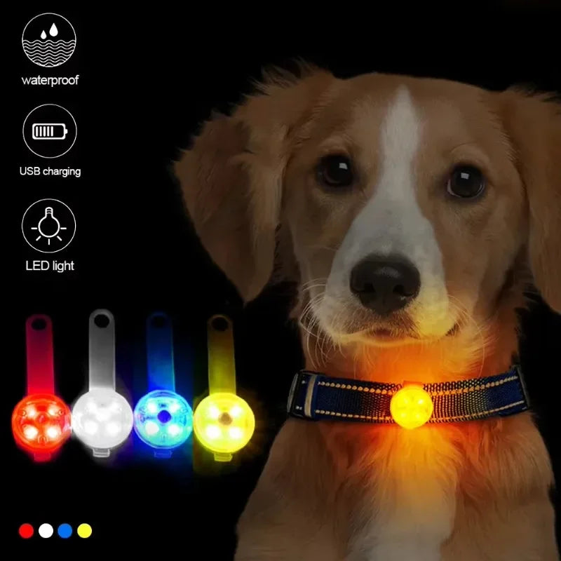 USB Rechargeable LED Safety Collar 💡🐶 Weatherproof Anti-Loss Pet Light